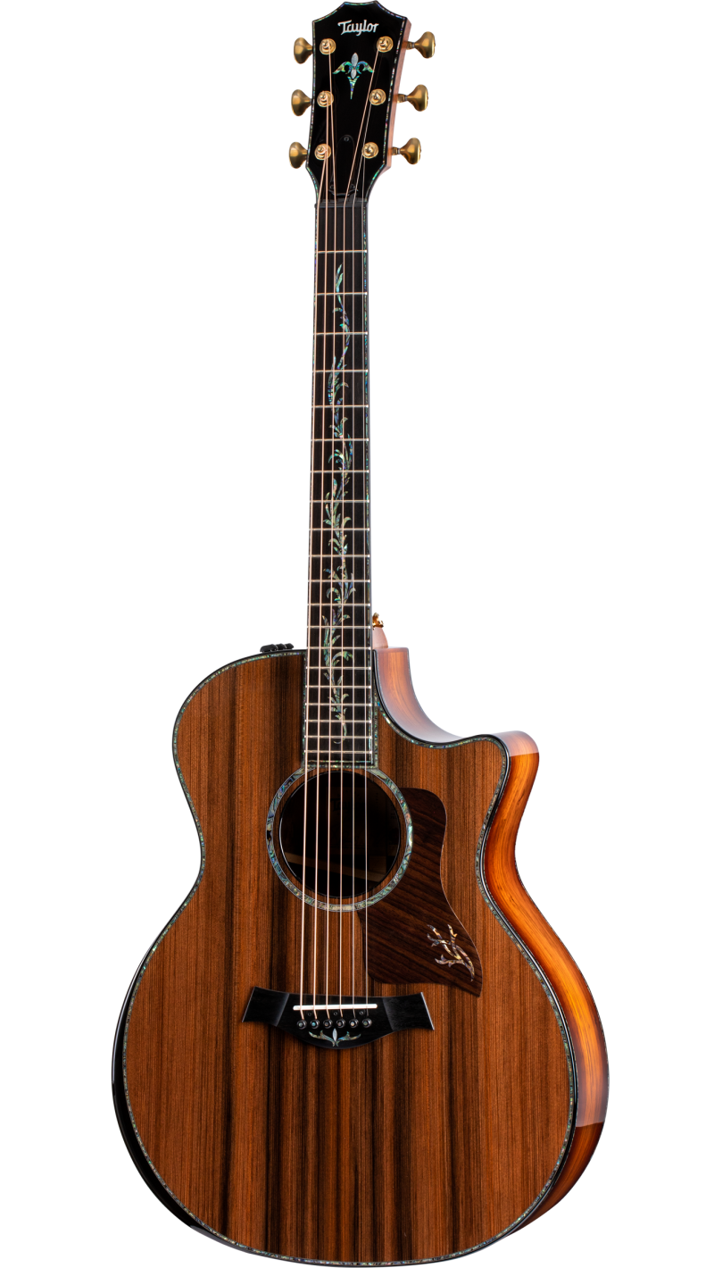 PJ guitar’s pj1000OMCE★美品 エレアコ Taylor系 PS14ce Honduran Rosewood Honduran Rosewood Acoustic-Electric
